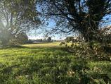 Terreno agricolo in Vendita